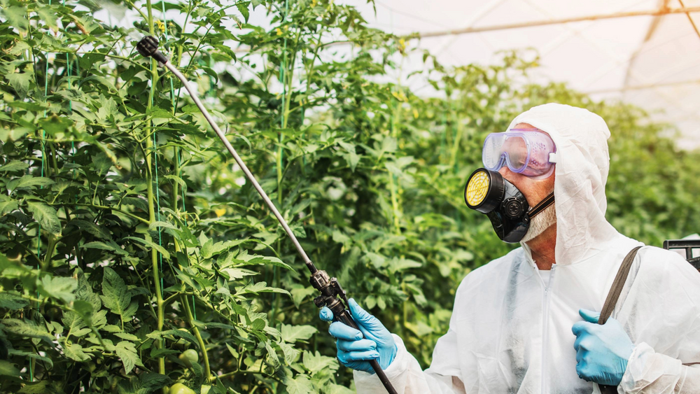 Sprayer Calibration Guide for Small Hand Pump Sprayers Used In Aquaponics