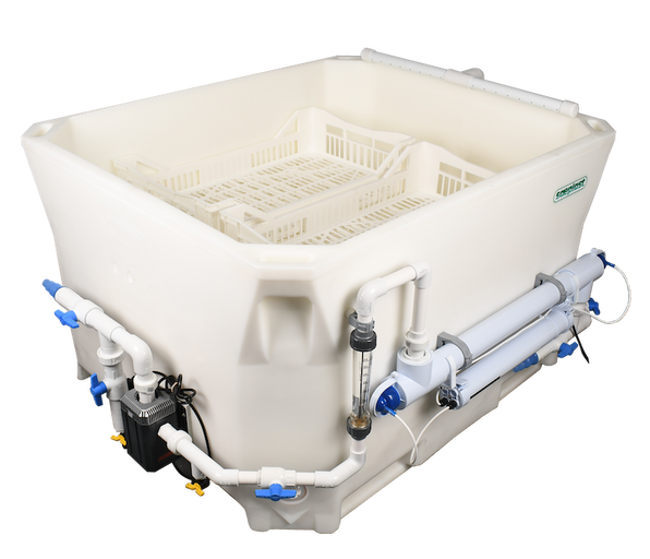 TMC Shellfish Depuration System - Aquatic Equipment & Design Inc.