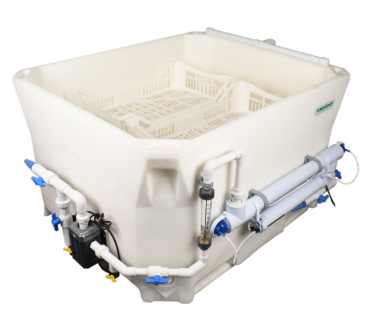 TMC Shellfish Depuration System - Aquatic Equipment & Design Inc.