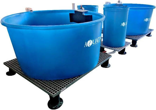 The Beginner’s Aquaculture System