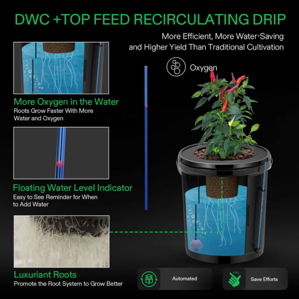Deep Water Culture Hydroponics - Bucket Kit