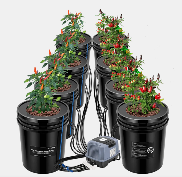 Deep Water Culture Hydroponics - Bucket Kit