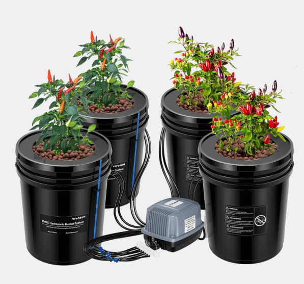 Deep Water Culture Hydroponics - Bucket Kit