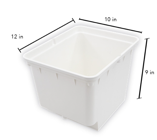 Dutch Bucket