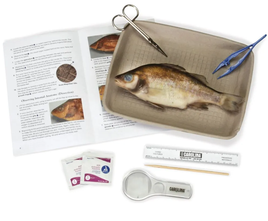 Fish Dissection Kit