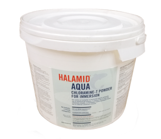 Halamid Aqua (Chloramine-T)