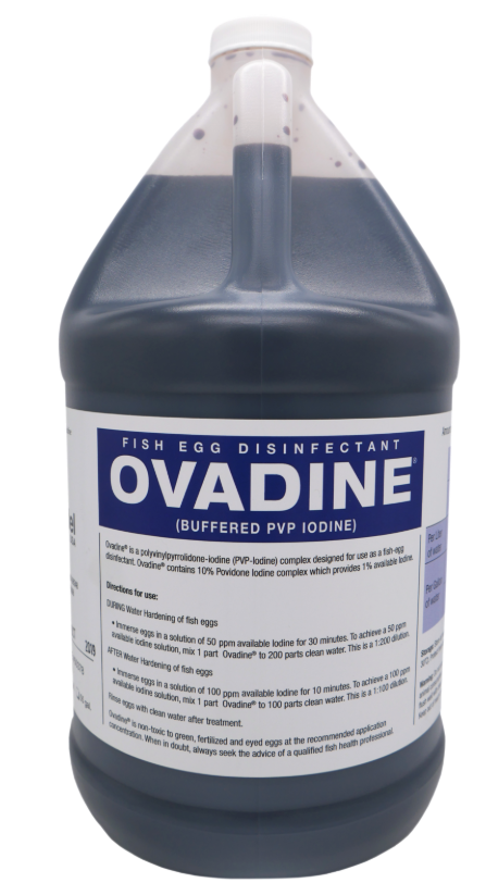 Ovadine