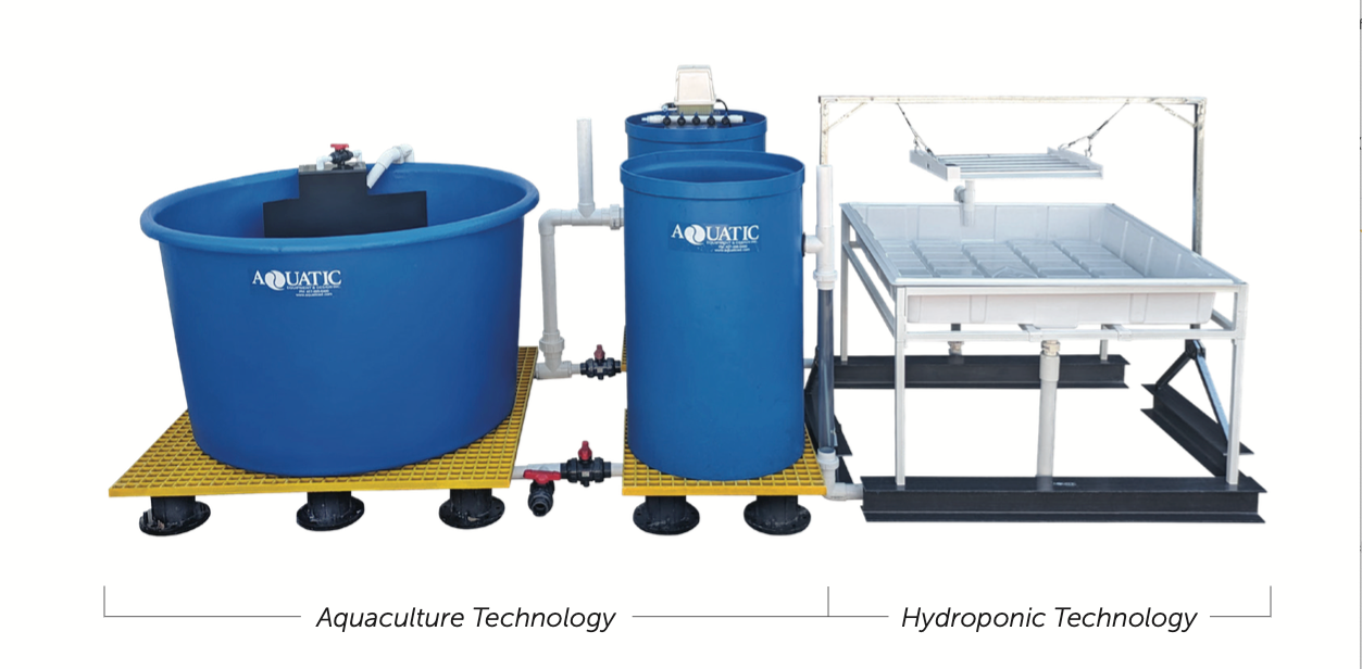 Education System - Aquaculture & Hydroponics