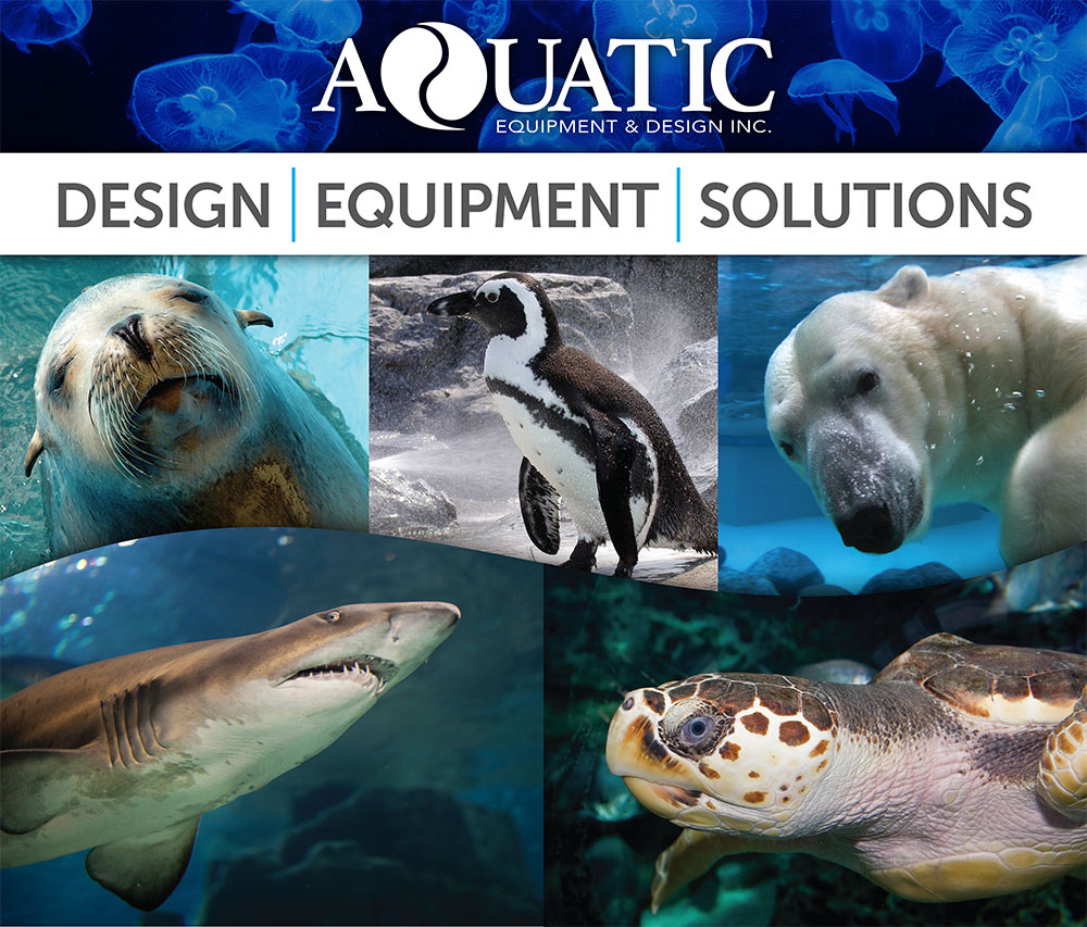 marine-life-aquaculture-aquarium-zoology