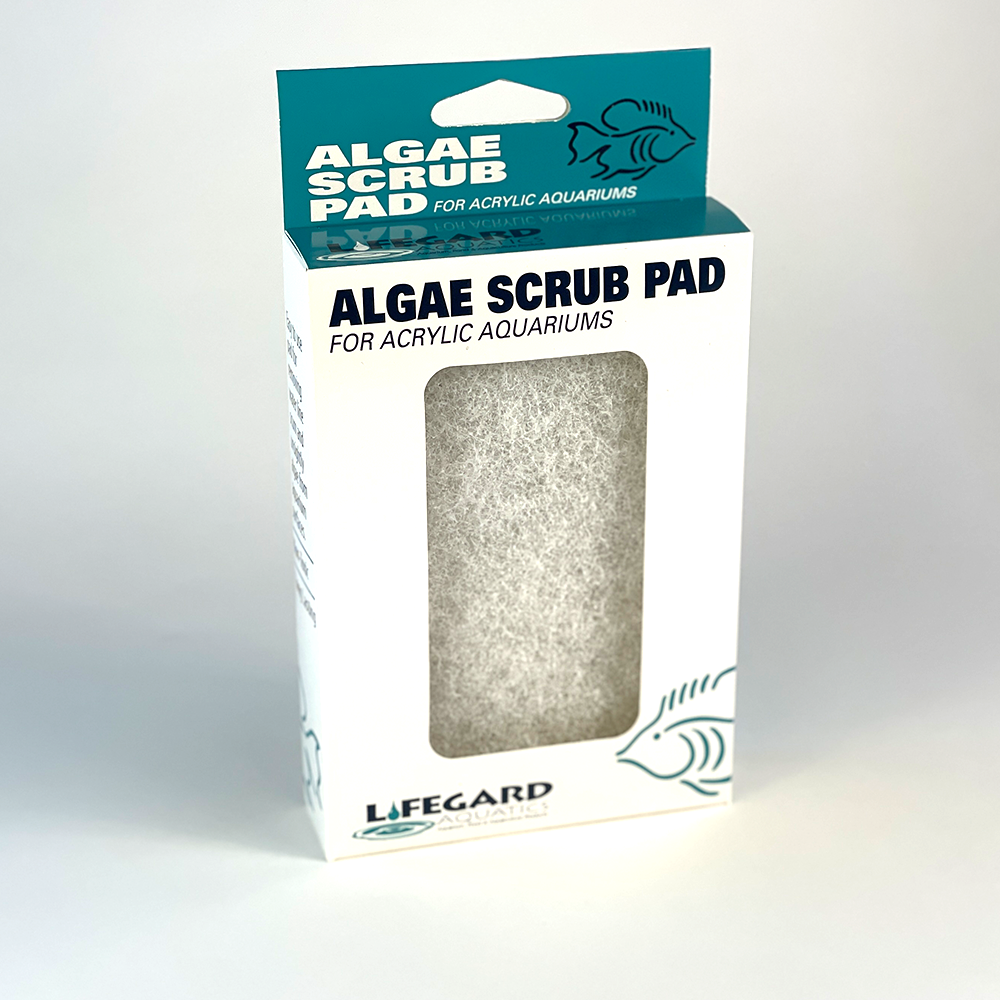 Almohadilla de algas blancas - 4" x 6"