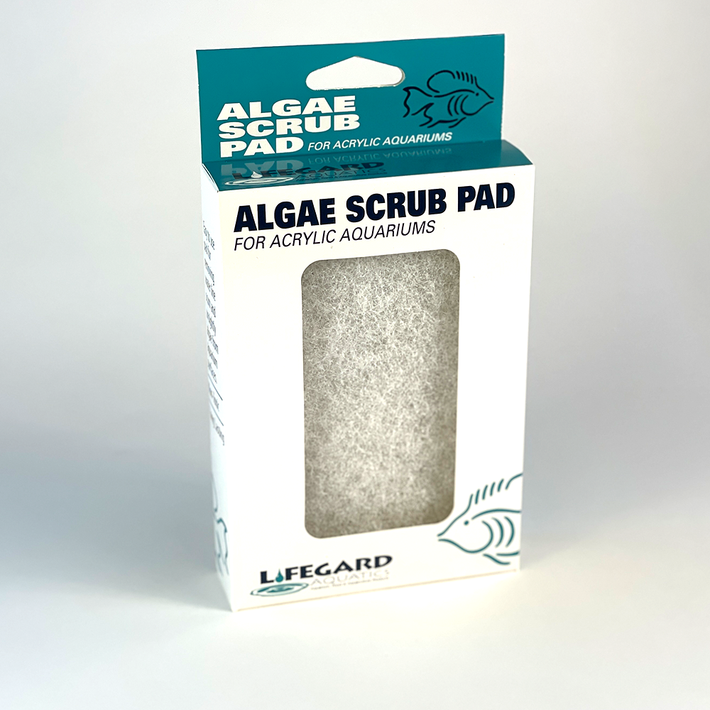 White Algae Pad- 4" x 6"