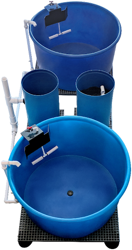 Large-Scale Educational & Backyard Aquaculture System - Aquatic ...